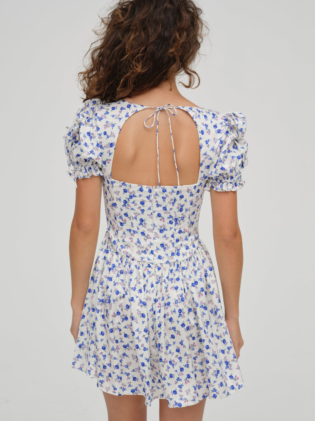 Paulina Puff Sleeve Dress — Blue