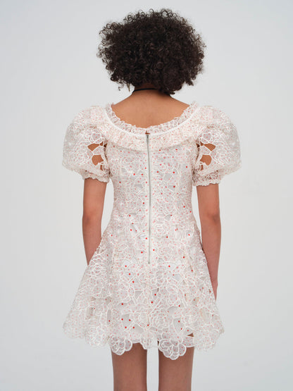 Aphrodite Embroidered Mini Dress — White